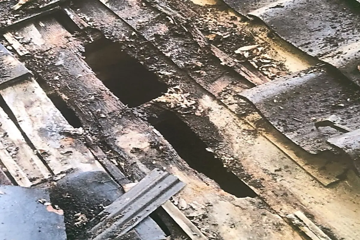 地震で傷んだ本堂の床板